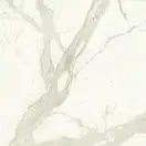 Плитка напольная Fiandre Marmi Maximum Calacatta Maximum 100 х 100 см Semilucidato (MMS461010) фото 1 Aquada.com.ua