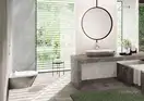 Унитаз подвесной NewFlush (безободковый) Catalano Gold & Silver с сиденьем Soft Close (1VS55NRBA+5SCSTP000) фото 2 Aquada.com.ua