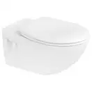 Унитаз подвесной с вертикальным смывом Duravit Duraplus с сиденьем для унитаза Soft Close (2547090000+0064290000) фото 1 Aquada.com.ua