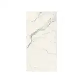 Керамогранит REX CERAMICHE REX MAGNUM Classici Statuario Soft 160х320 (746600)