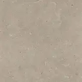 Напольная плитка Fiandre Fjord Beige 60 х 60 см Semilucidato 8 мм (AS212X860R10)