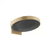Верхний душ Ø 360 мм Hansgrohe Rainfinity, 1 тип струи (цвет - матовая бронза) (26230140)