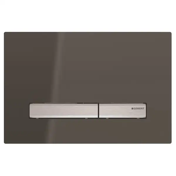 Смывная клавиша Geberit Sigma 50 (зеркальное дымчатое стекло) (115.788.SD.2) фото 1 Aquada.com.ua