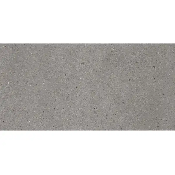 Керамическая плитка Fiandre Fjord Grey 120 х 60 см Semilucidato 8 мм (AS209X864R10) фото 1 Aquada.com.ua