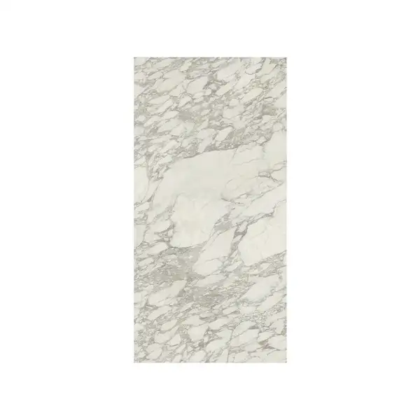 Керамогранит REX CERAMICHE REX MAGNUM I Bianchi Calacatta Lucido 120X240 (744210) фото 1 Aquada.com.ua