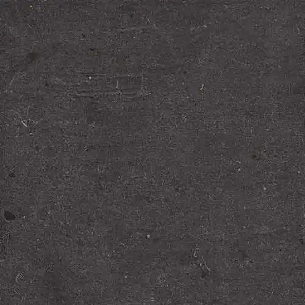 Напольная плитка Fiandre Fjord Black 60 х 60 см Semilucidato 11 мм (AS207X1160R10) фото 1 Aquada.com.ua