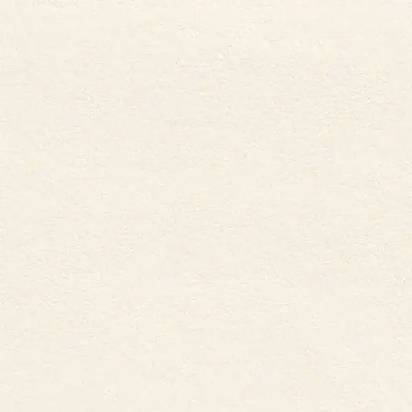 Плитка напольная Fiandre New Ground White 60 х 60 см Semilucidato (PFP3260) фото 1 Aquada.com.ua