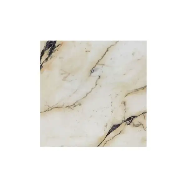 REX CERAMICHE Напольная плитка I BIANCHI REX PAONAZZETTO LUC 80X80 80X80 (734745) фото 1 Aquada.com.ua
