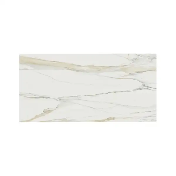 REX CERAMICHE Напольная плитка I CLASSICI CALACATTA GOLD MATTE 60X120 RET (753296) фото 1 Aquada.com.ua
