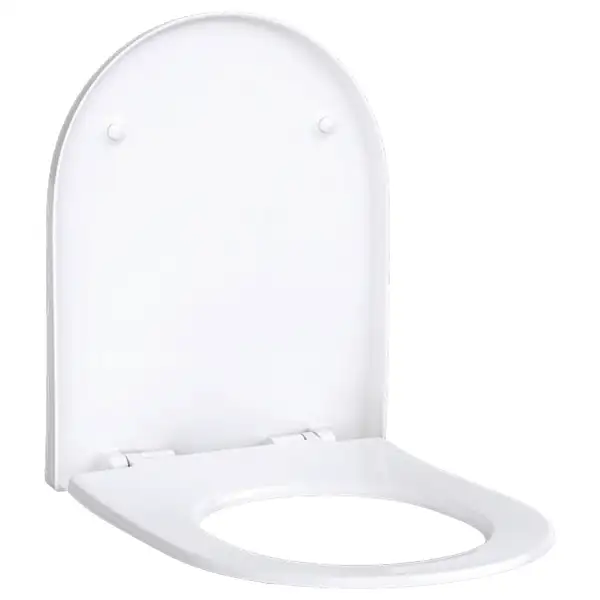Geberit унитаз напольный Rimfree (безободковый), с сиденьем Soft Close (500.602.01.2+500.605.01.2) фото 3 Aquada.com.ua