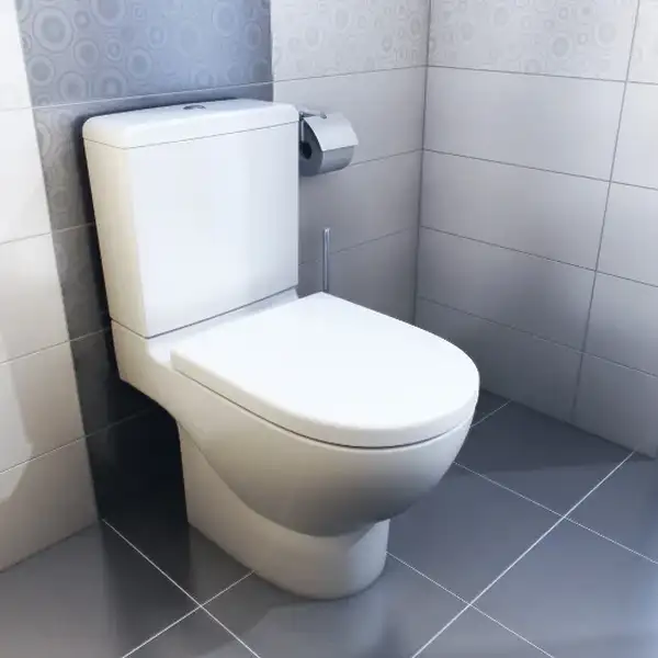 Унітаз підлоговий Roca Meridian-N 64,5х37 (A342247000) Унітаз підлоговий Roca Meridian-N 64,5х37 (A342247000)
