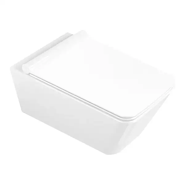 Унитаз подвесной Catalano Proiezioni с сиденьем Soft Close (ободковый) (1VSPN00+5PRSTP00) фото 1 Aquada.com.ua