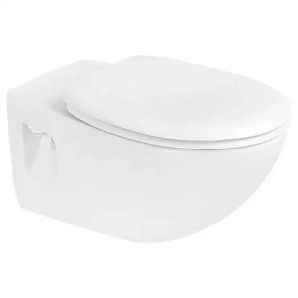 Унитаз подвесной с вертикальным смывом Duravit Duraplus с сиденьем для унитаза Soft Close (2547090000+0064290000) фото 1 Aquada.com.ua