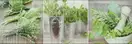 Декор Salerno Glass Kitchen 1 Inserto 200x600x8,5 Konskie (5902027010329)