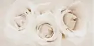 OPOCZNO Декор Camelia Flower 29,7x60 код 3423 Опочно (TDZZ1228852018)
