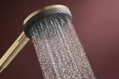 Душовий гарнітур Hansgrohe Raindance Alive Select S 3Jet EcoSmart, шланг 160 см, Brushed Bronze  24611140