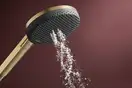 Душовий гарнітур Hansgrohe Raindance Alive Select S 3Jet EcoSmart, шланг 160 см, Brushed Bronze  24611140
