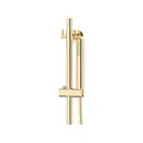 Душевой гарнитур Corsan LUGO GOLD (CMN01MGL)