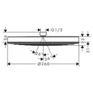 Hansgrohe Pulsify Showerpipe 260, бронза (24221140)