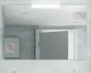 Salgar Зеркало Mirror SENA 900 + светильник (16911+84122)