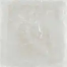 ARCANA CERAMICA Плитка керамогранітна Tempo Bone 600x600x10 Arcana (8CC4)