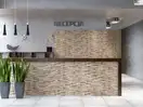CERRAD Kallio Terra Камінь фасадний, теракотовий (5901779373751)