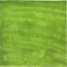 Плитка стінова Calabria Pistacho 150x150 Mainzu (PT02122)