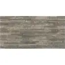 Керамогранит Almera Ceramica ESS. RLV. Anaya Argent 30,3 х 61,3 см 420671