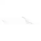 Керамогранит Almera Ceramica Calacatta White CHV 8 х 40 см 508102