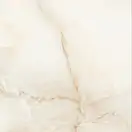 RAVIRAJ CERAMICS Плитка підлогова Onyx Beige POL 60x60 Raviraj (Onyx Beige 60x60 polished)