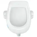 Qtap Baby Подвесной писсуар, белый с рисунком (QT2388U460EWD)