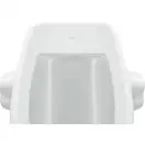 Qtap Baby Подвесной писсуар, белый с рисунком (QT2388U460EWD)