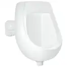 Qtap Scorpio Писсуар детский подвесной, белый (QT2388U460W)