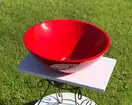 Snail Умивальник «Камелія» Червоний А300 (147A300)