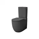 Кришка для унітазу Artceram File 2.0 з функцією SoftClose, grigio oliva (FLA002 15)