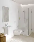 Сиденье для унитаза Laufen Palace Soft Close (H8917013000001) фото 3 Aquada.com.ua
