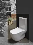 Унитаз-компакт NoRim (безободковый) AXA Wild, с сиденьем Soft Close, белый матовый (3001512+3005112+AF312+BA009)