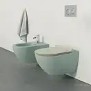 Унитаз подвесной NewFlush (безободковый) Catalano Sfera, зёленый матовый (1VSF54RCS+5SCSTPVS) фото 2 Aquada.com.ua