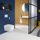 Geberit AquaClean Alba Унітаз-біде підвісний, білий (146.350.01.1)