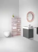 Унитаз-биде Rimless (безободковый) Laufen Cleanet Riva (сиденье в комплекте), белый матовый (820691.757.000.1) фото 7 Aquada.com.ua