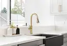 Смеситель для кухни REA NEST BRUSHED GOLD (REA-B6600)