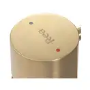 Rea Tess Змішувач для раковини, матове золото (REA-B5660)