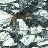 OPOCZNO Плитка підлогова Esme 42x42 код 0582 Опочно (TGGZ1048981892)