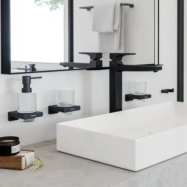 Гачок подвійний Hansgrohe AddStoris 3,6х1,6x6,6 см, Brushed Black (41755340)