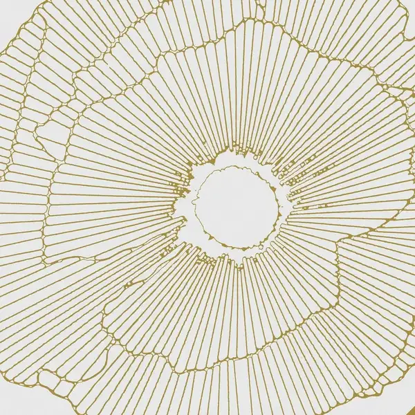 Плитка керамогранітна Art Deco White Spritz Natural 297,5x297,5x9,9 Aparici (25536) Плитка керамогранітна Art Deco White Spritz Natural 297,5x297,5x9,9 Aparici (25536)