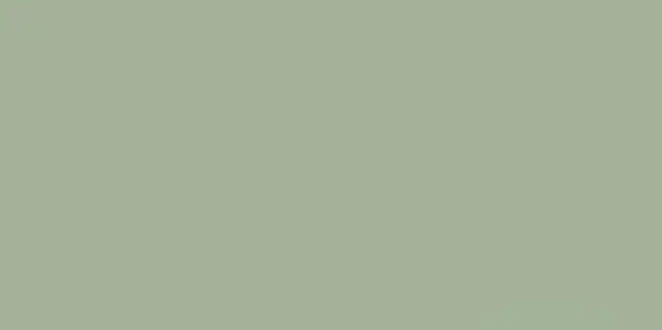 PARADYZ Feelings Green Плитка настенная, зеленая (S-R-298X598-1-FEES.GN)