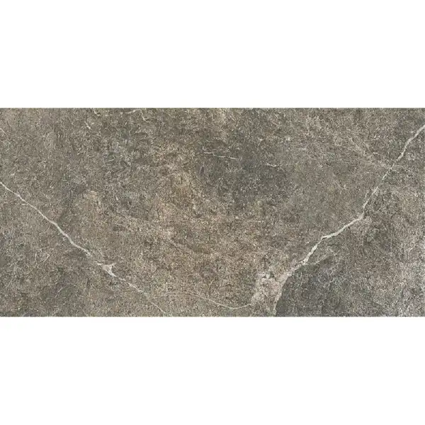 Керамогранит Almera Ceramica Anaya Argent 30,3 х 61,3 см 420669