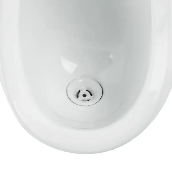 Qtap Baby Подвесной писсуар, белый с рисунком (QT2388U460EWD) Qtap Baby Подвесной писсуар, белый с рисунком (QT2388U460EWD)