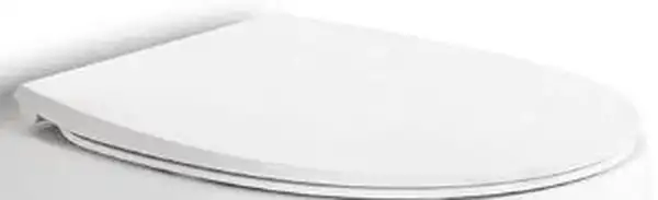 AeT Сиденье с крышкой для унитаза DOT 2.0 (C555R101 soft close) (C555R101)