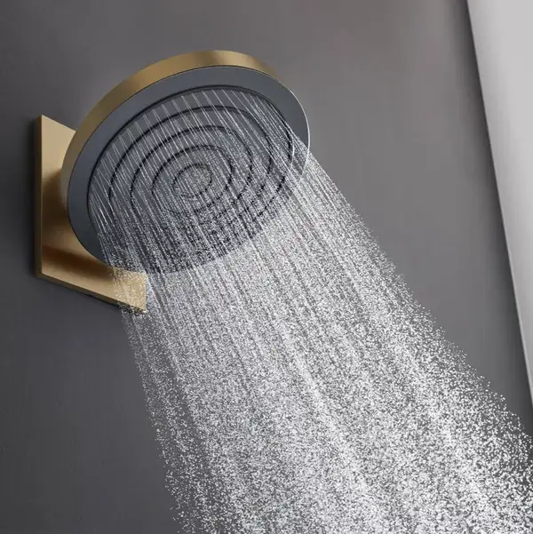 Верхний душ Ø260 мм Hansgrohe Pulsify S EcoSmart, 1 вид струи (цвет - шлифованная бронза) 24141140 Верхний душ Ø260 мм Hansgrohe Pulsify S EcoSmart, 1 вид струи (цвет - шлифованная бронза) 24141140
